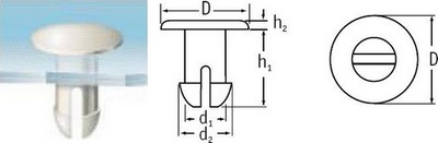 Push-In Fasteners